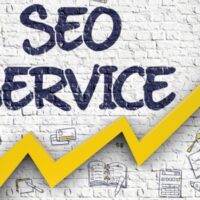 Unlocking Digital Success: Whisskers Marketing Company’s SEO Services in Canada