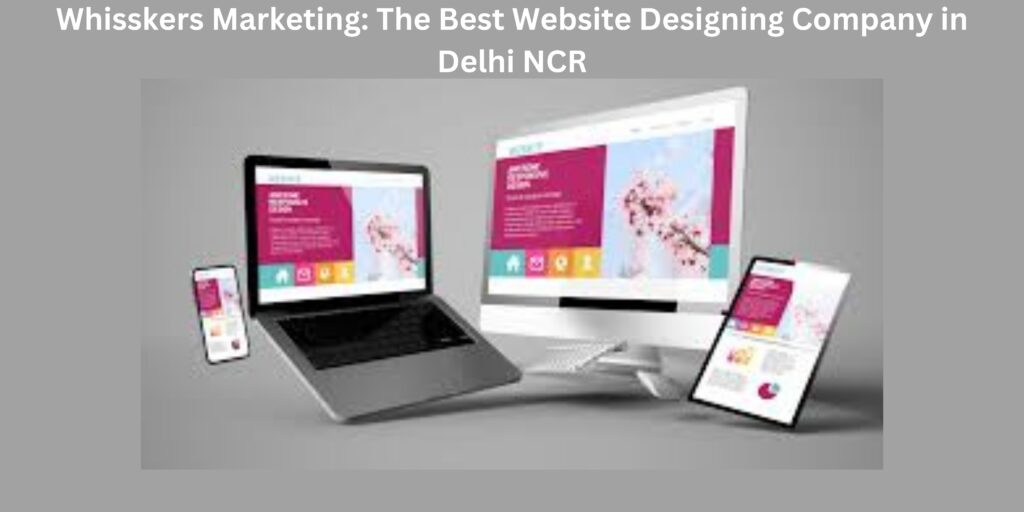 best website designing company in delhi ncr